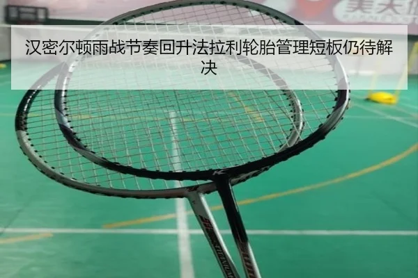 汉密尔顿雨战节奏回升法拉利轮胎管理短板仍待解决